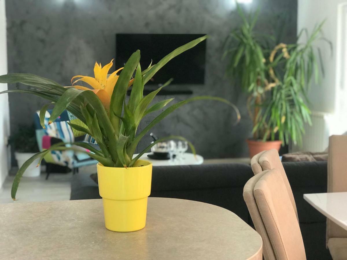 Apartment Ive تروغير المظهر الخارجي الصورة
